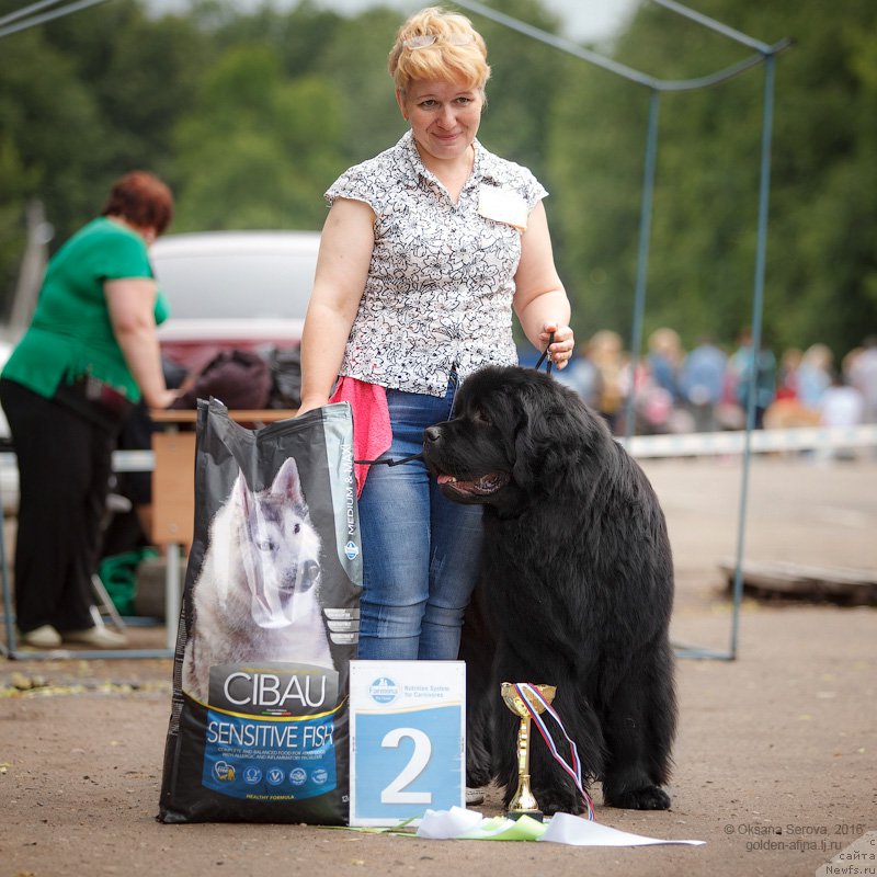 Фотография № 208788