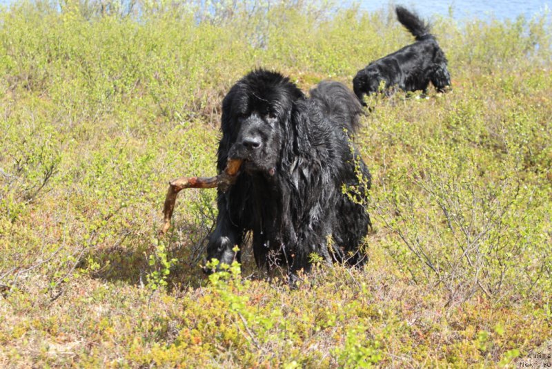 Фотография № 208790