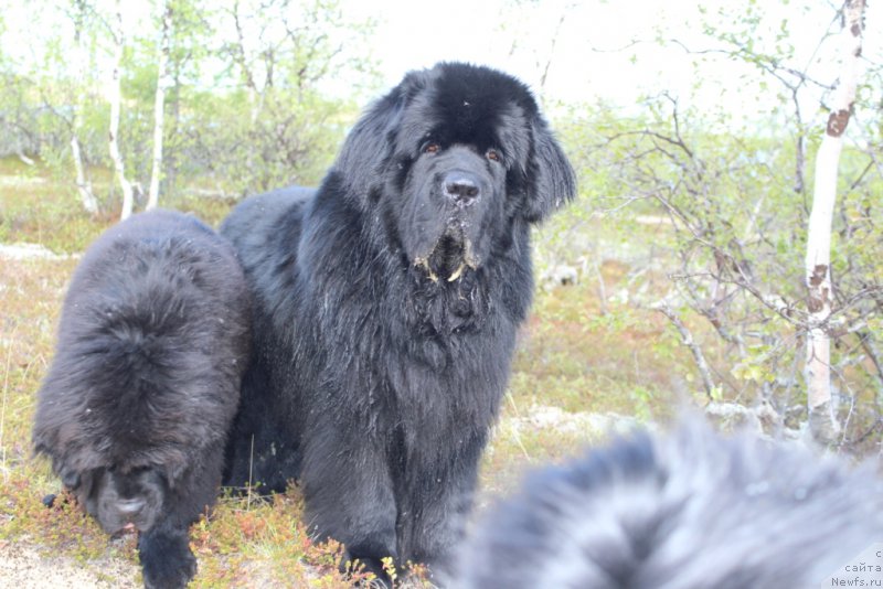 Фотография № 208793