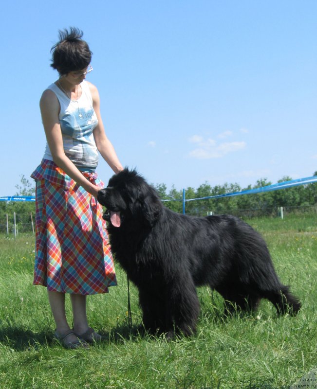 Фотография № 208800