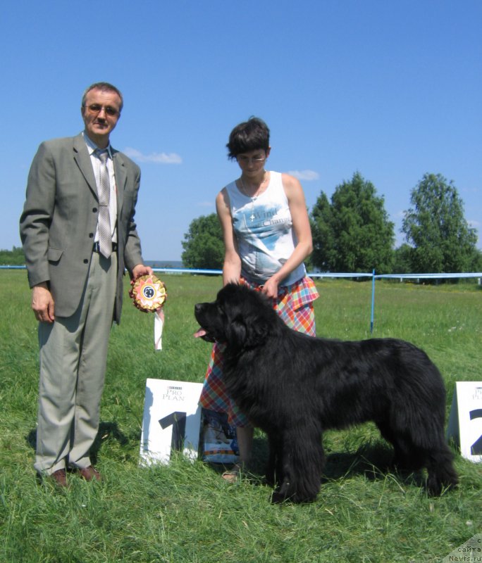 Фотография № 208801