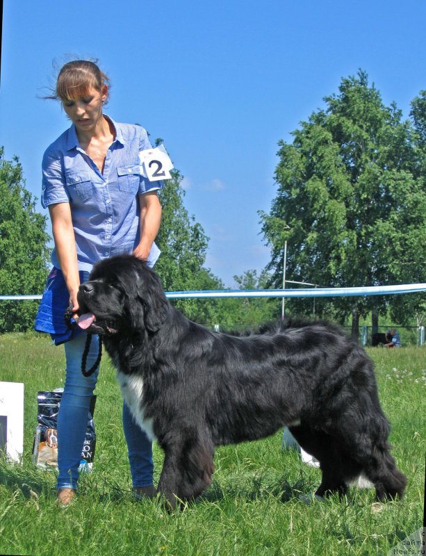 Фотография № 208802