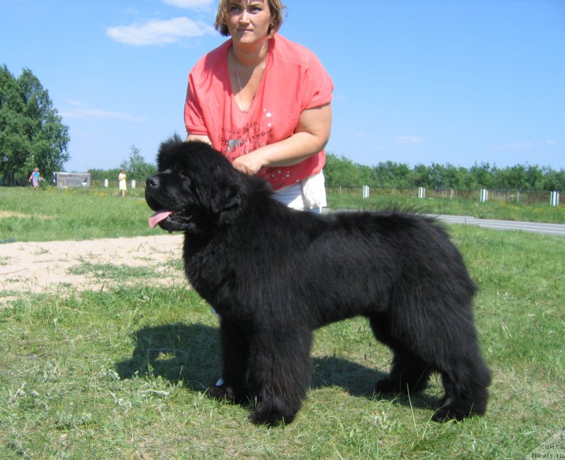 Фотография № 208805