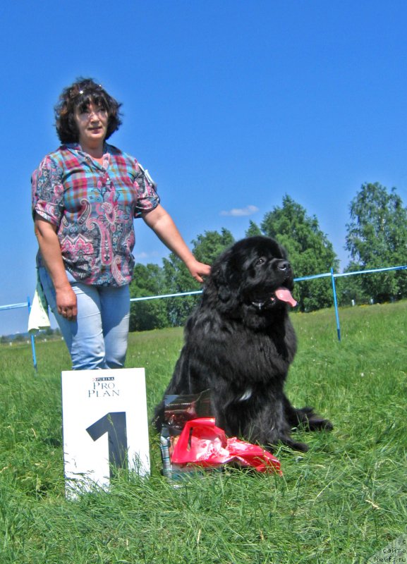 Фотография № 208806