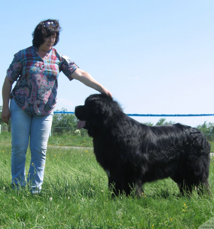 Фотография № 208807