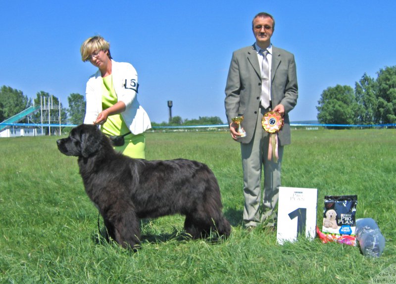 Фотография № 208809