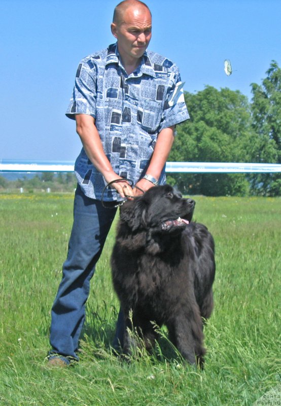 Фотография № 208810