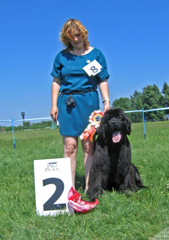 Фотография № 208812