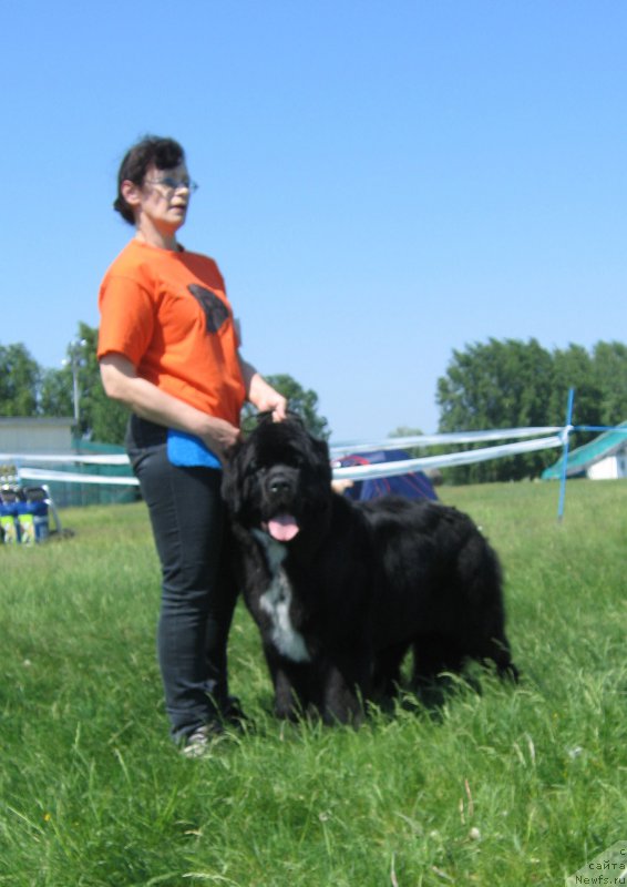 Фотография № 208813