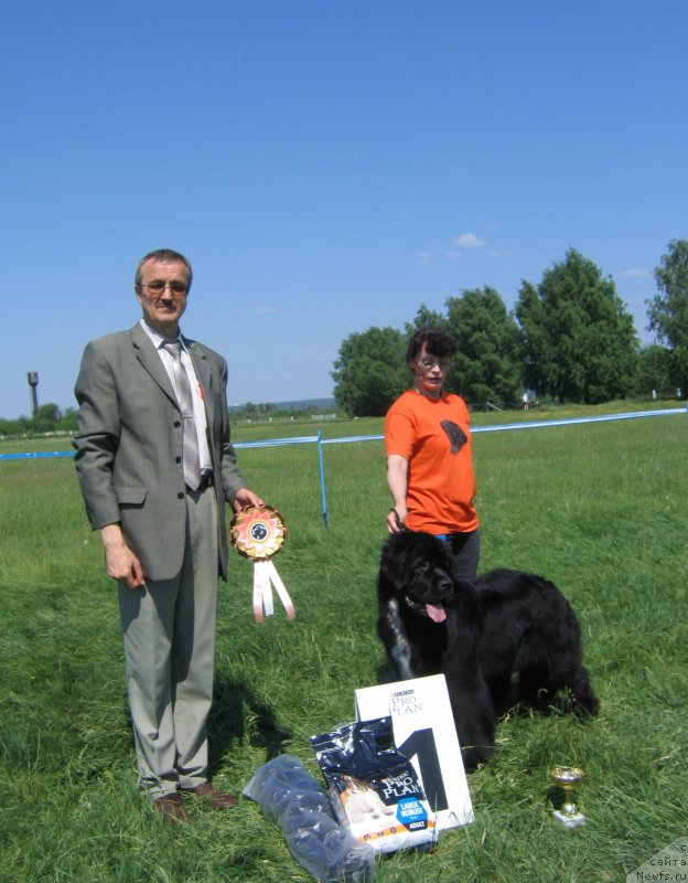 Фотография № 208814