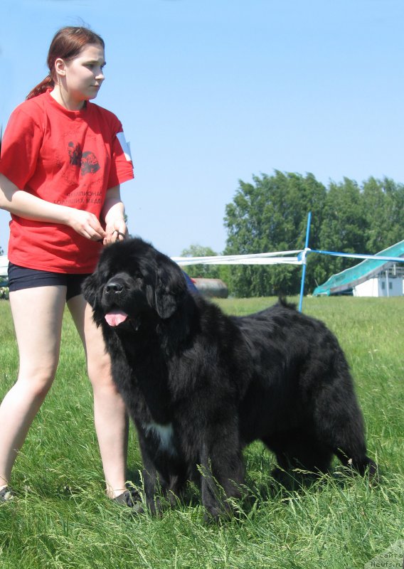 Фотография № 208815