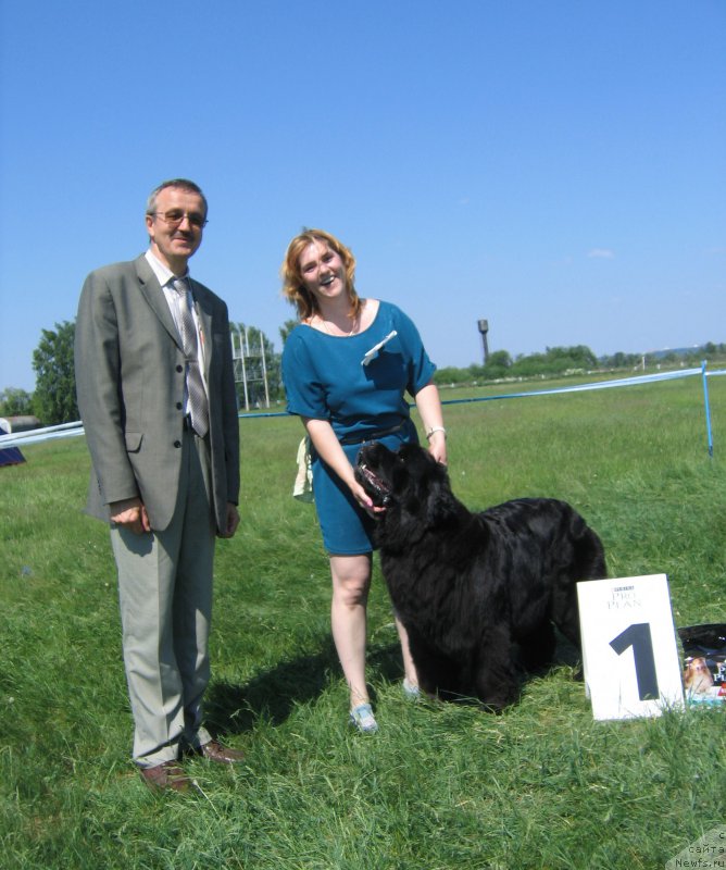 Фотография № 208816