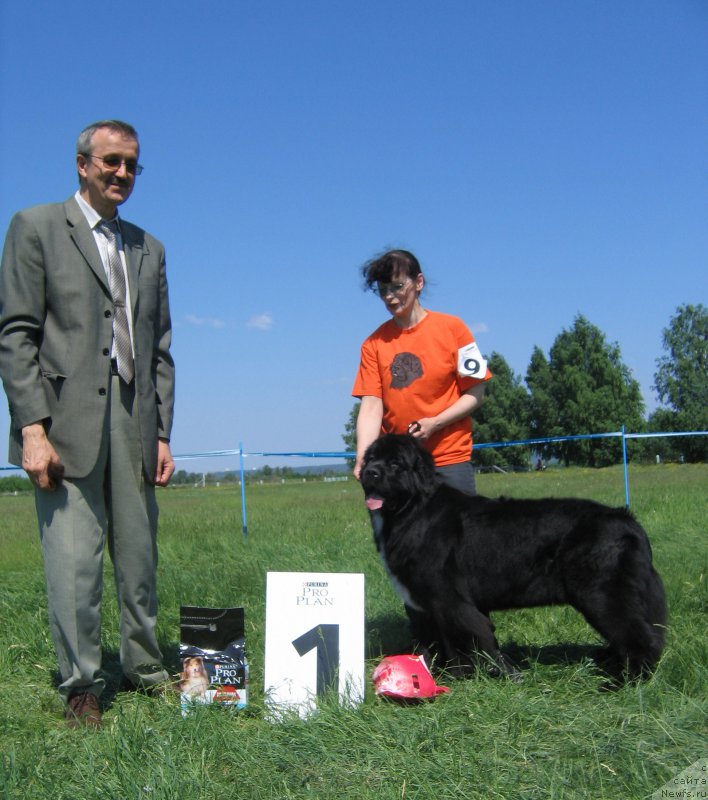 Фотография № 208821