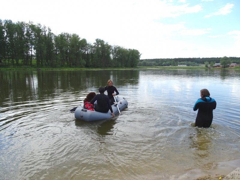 Фото: ньюфаундленд Ньюфорт Вивиан, Галия Гизатуллина, Ксения Семикова, Эльза Чернова