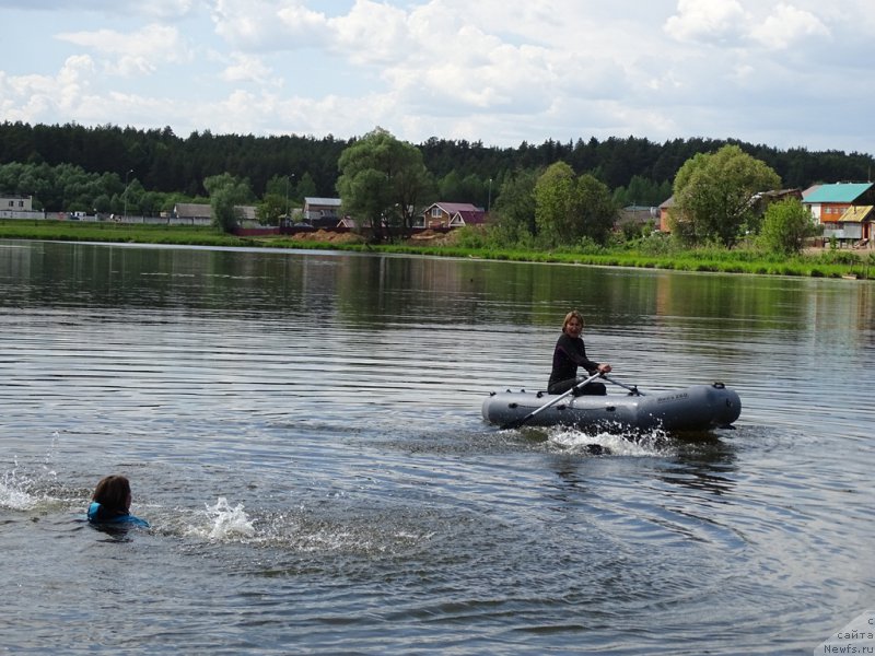 Фото: Ксения Семикова, Эльза Чернова, ньюфаундленд Черный Шарм Веллингтон