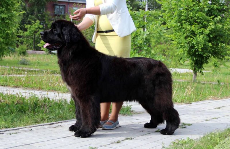 Фотография № 208835