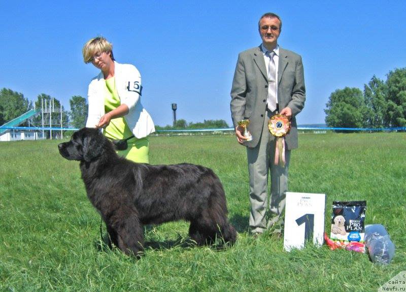 Фотография № 208837