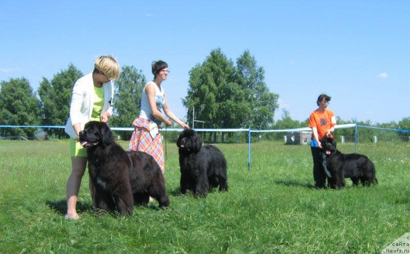 Фотография № 208839