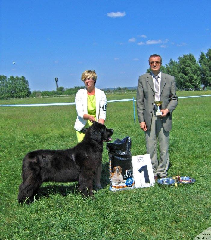 Фотография № 208841