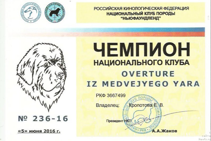 Фотография № 208846