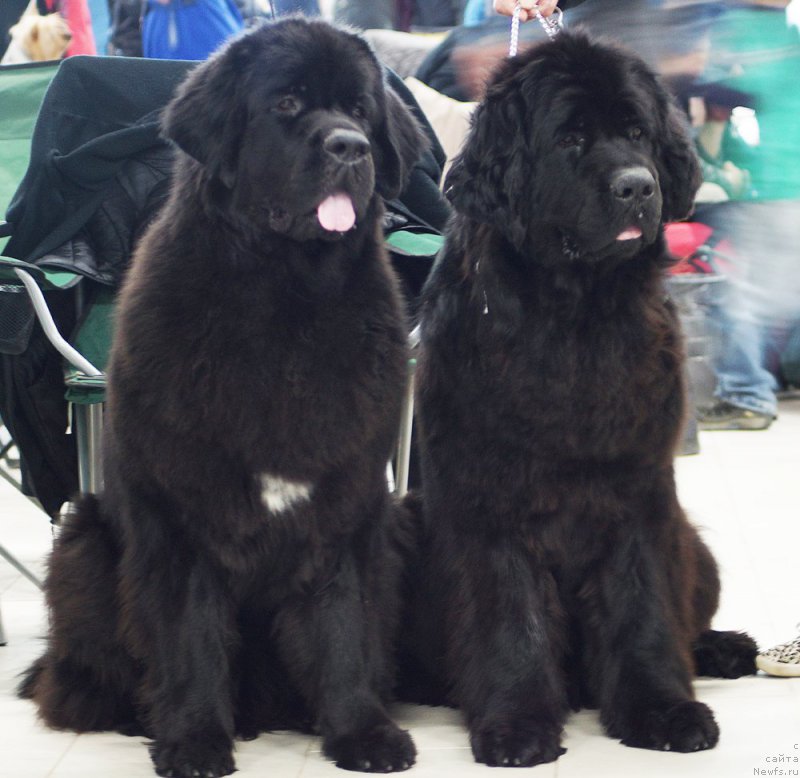 Фотография № 208857