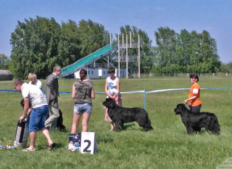 Фотография № 208863