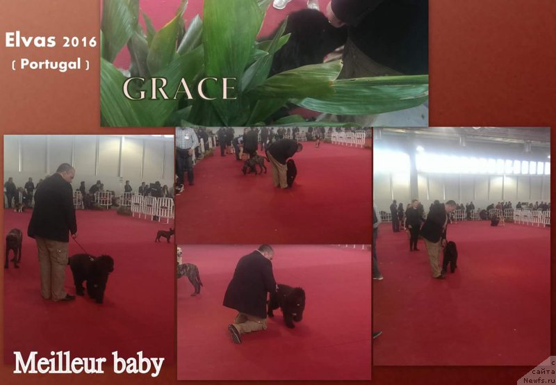 Фотография № 208867