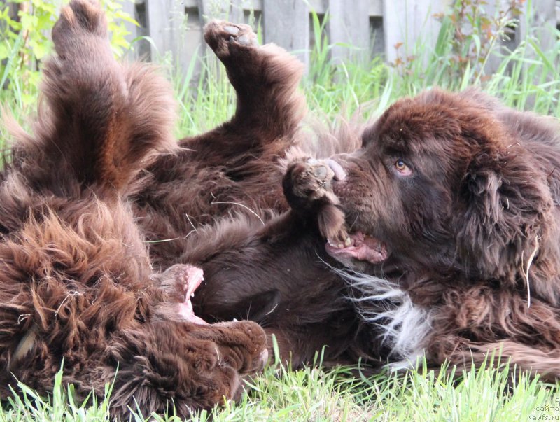 Фотография № 208876