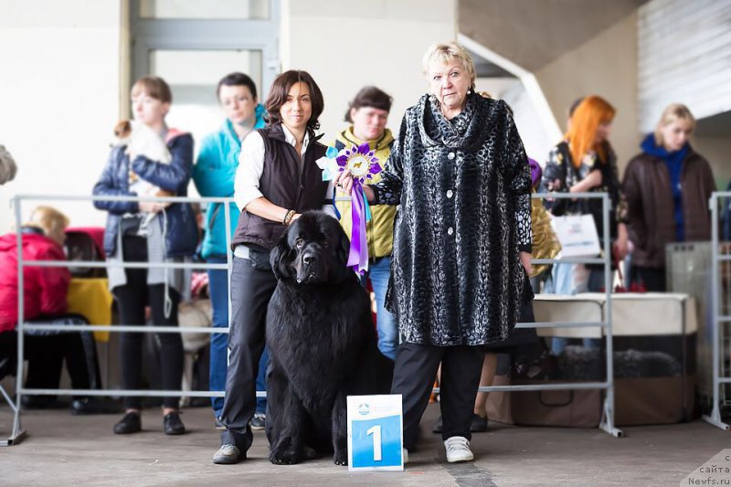 Фотография № 208878