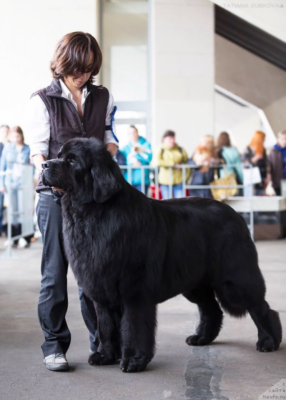 Фотография № 208879