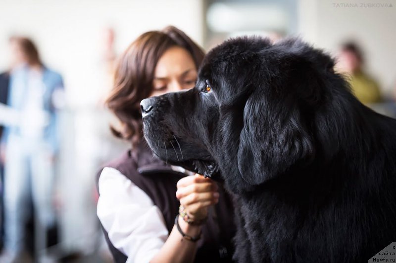 Фотография № 208880