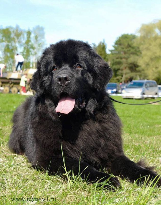 Фотография № 208906