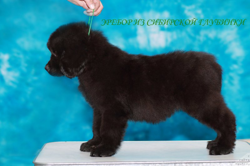 Фото: Станислав Разуваев