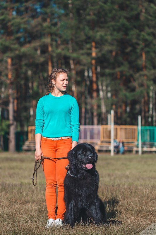 Фото: ньюфаундленд Пьер Ливи