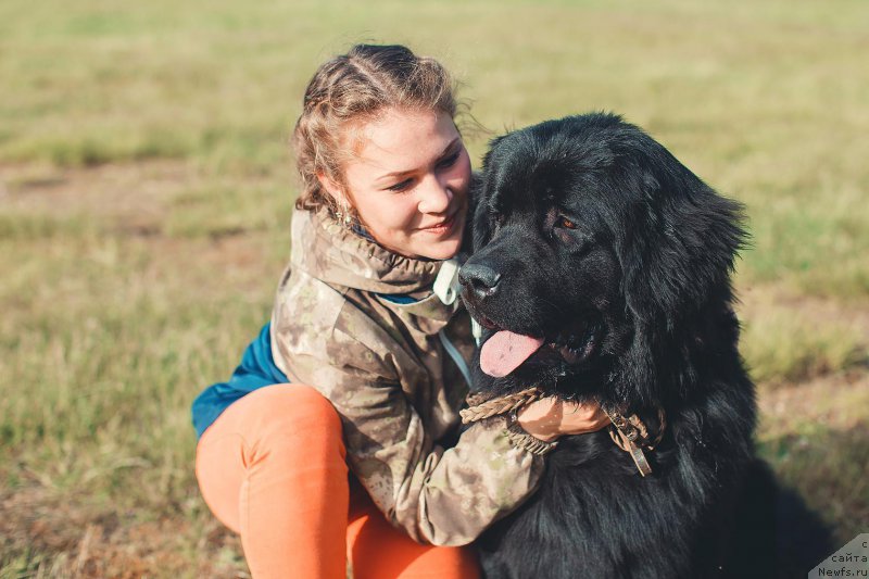 Фотография № 208956