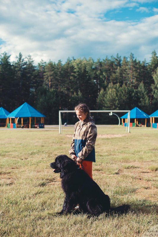 Фотография № 208959