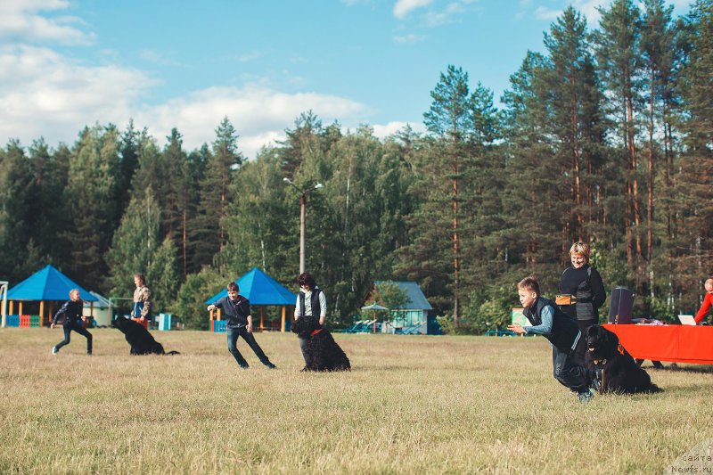 Фотография № 208960