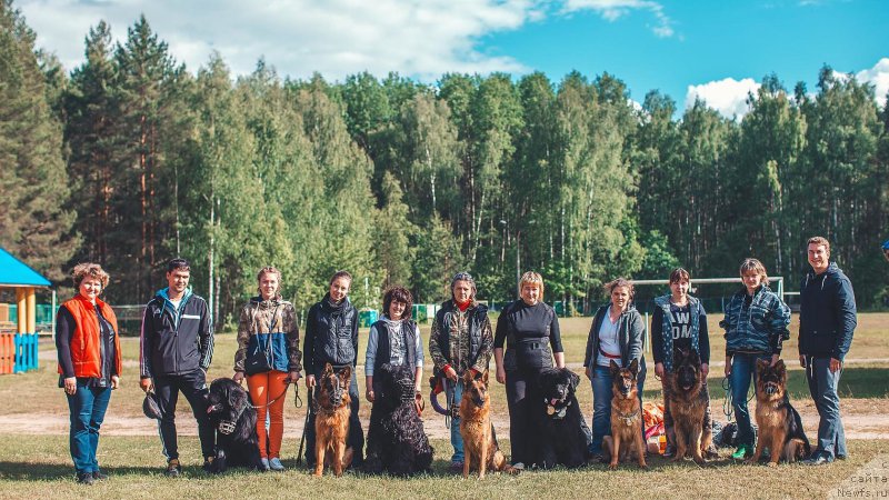 Фотография № 208961