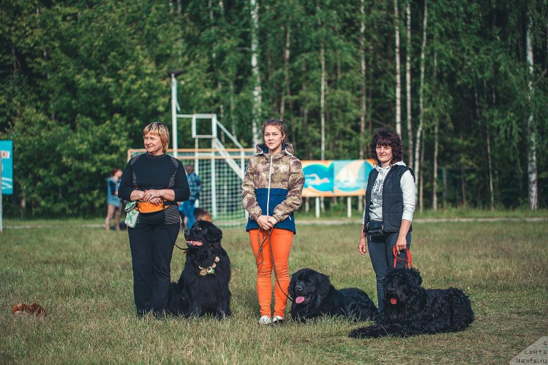 Фотография № 208962