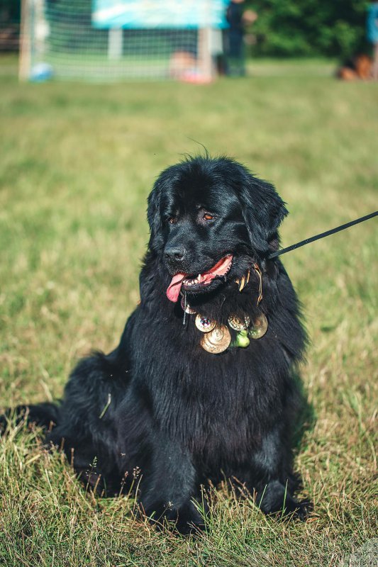 Фотография № 208963