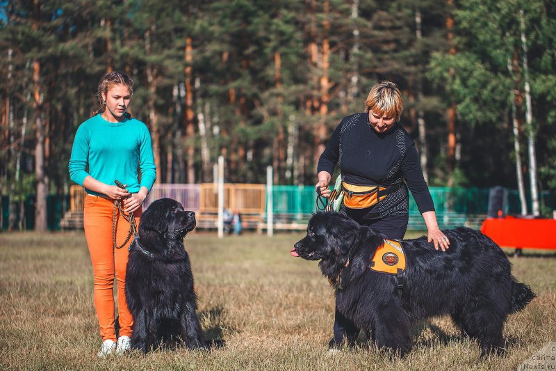 Фотография № 208966