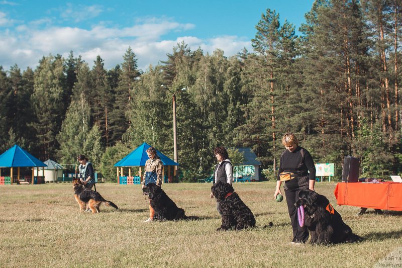 Фотография № 208967