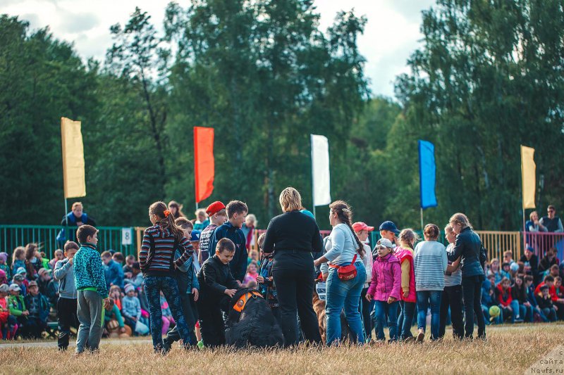 Фотография № 208968