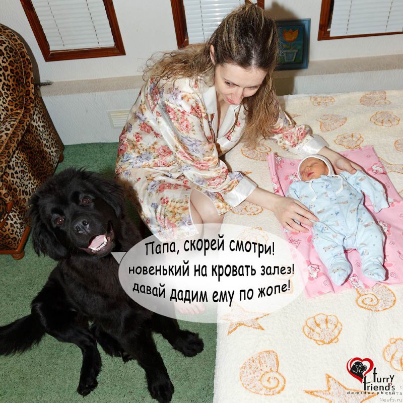 Фотография № 208975