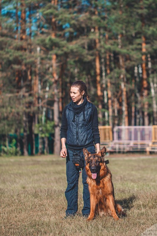 Фотография № 208981