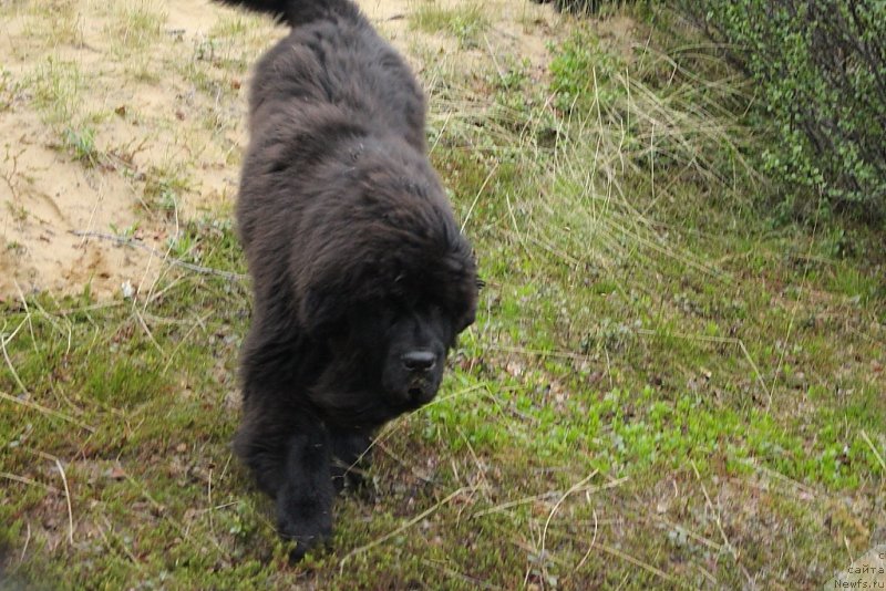 Фотография № 208986