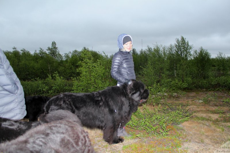 Фотография № 208991