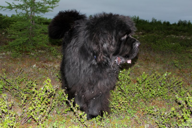 Фотография № 208993