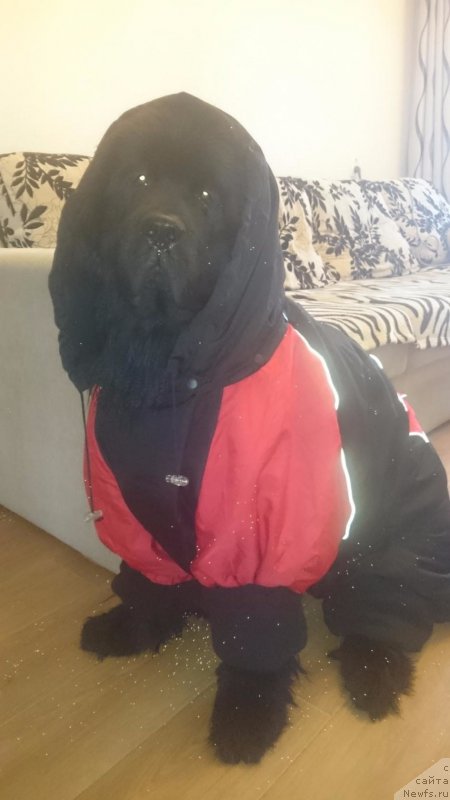 Фотография № 209000