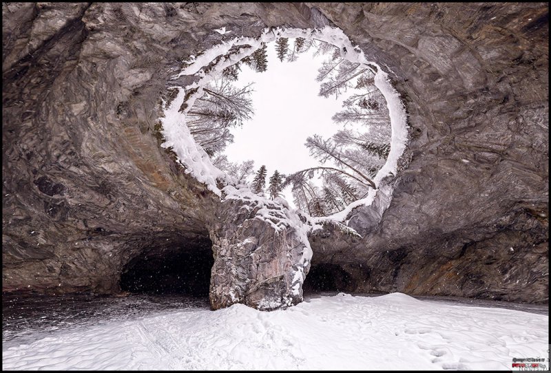 Фото: ньюфаундленд Баффи от Карельских Медведей